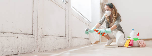 Why You Should Choose Our Mold Remediation Services in Ladoga, IN